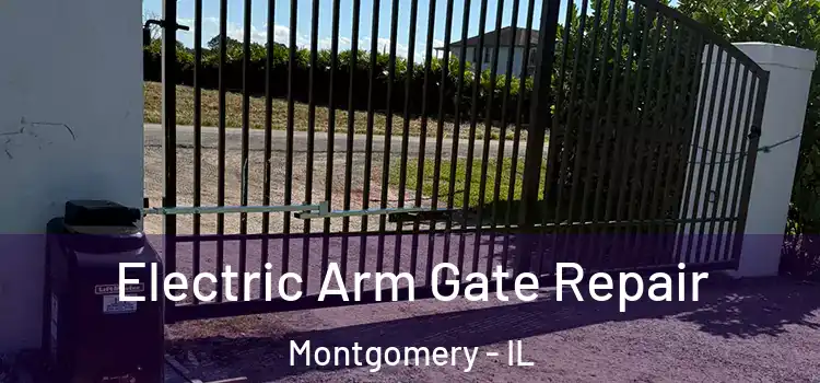 Electric Arm Gate Repair Montgomery - IL