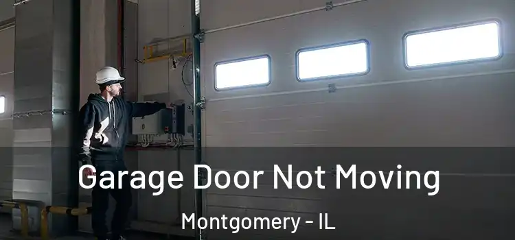  Garage Door Not Moving Montgomery - IL